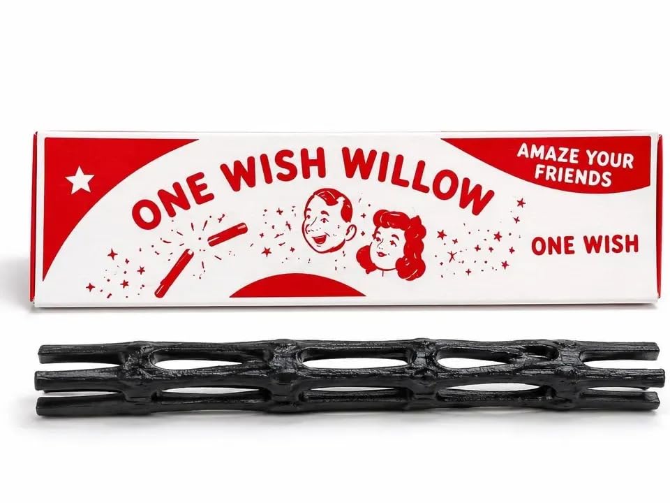 One Wish Willow – Elegant Decorative Willow Branch